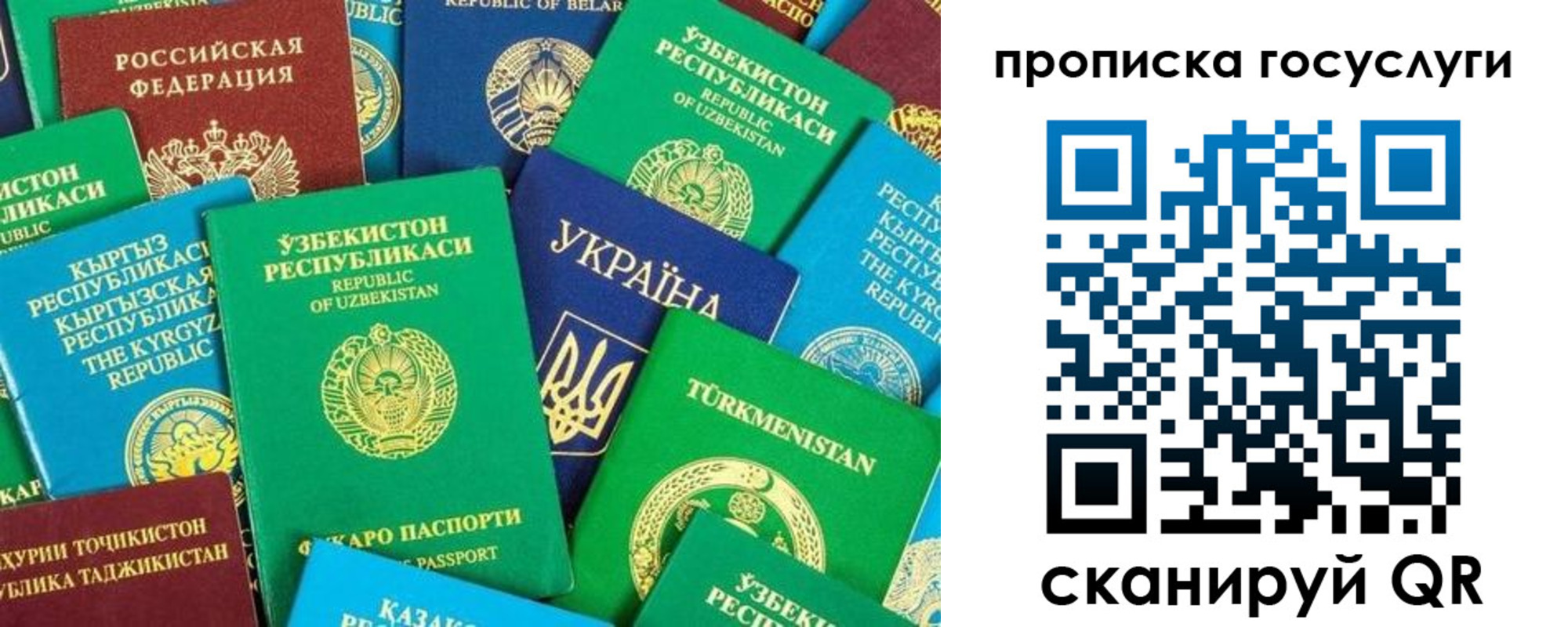 временная регистрация для всех в Железногорске